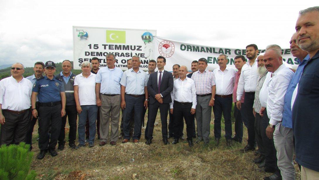 İlçe Milli Eğitim Müdürü Ali DURMAZ 15 Temmuz Demokrasi Şehitleri Hatıra Ormanına Fidan Dikimi Törenine Katıldı.